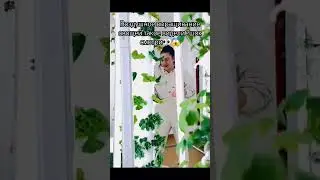 #вертикальноевыращиваниеовощейшок