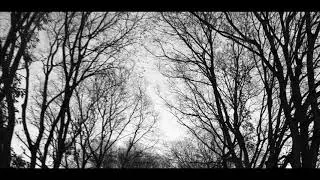 Anhedonia -  Omnes Una Manet Nox