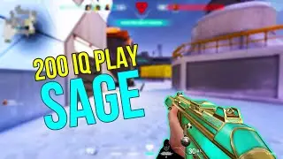 Incredible ACE And Defuse With Sage #Shorts#YoutubeShorts