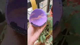 coconut shell painting 🥥 #art #diy #craft #painting #bestoutofwaste #diycrafts #craftideas #diyideas