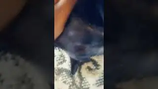 My little pussy 🐱