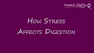 How Stress Affects Digestion