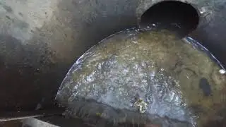 ловим карпа в пруду . пересадка малька сазана и карпа
