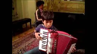 Despacito-accordion cover