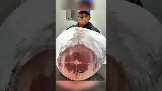 Секрет тунца раскрыт!😯