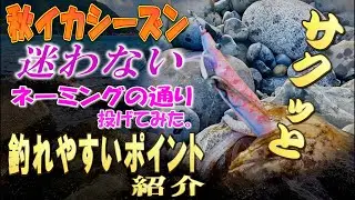 【エギング】 アサルトジェット75MMH!釣果ゼロの激渋の堤防から一変する！何処にでもあるようなゴロタ場を攻めてみた。egging squid