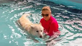 Canine Hydrotherapy with Endless Pools®