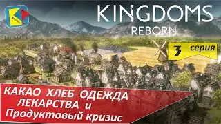 Kingdoms Reborn (3) Какао Хлеб Одежда Лекарства и Продуктовый кризис