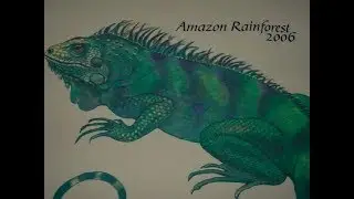 Amazon Citizen Science