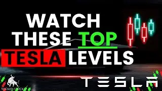 Tesla Stock Price Analysis | Top Levels To Watch for Friday, September 6th, 2024