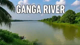 Nature | প্রকৃতির অপরূপ সৌন্দর্য | গঙ্গা পাড়ের দৃশ্য