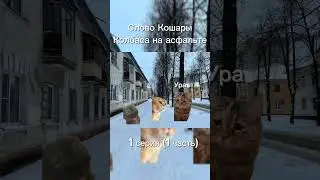 Слово кошары колбаса на асфальте 