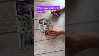 #таро