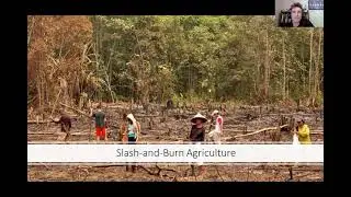 Erosion & Soil Conservation