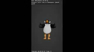 Pinguin