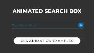 How to Create Animated Search Bar using HTML CSS | CSS Animation
