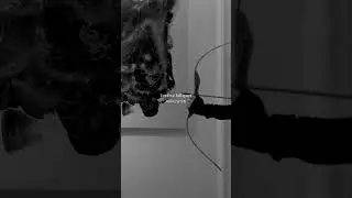 [Visualizer] Milena 밀레나 - Broken