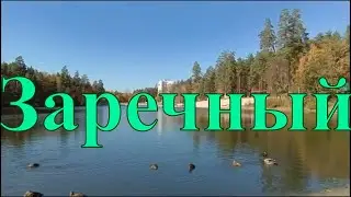 Зареченские уточки. Пензенская область. Заречный . Лесной пруд .Лермонтовский пруд .Pond and ducks.