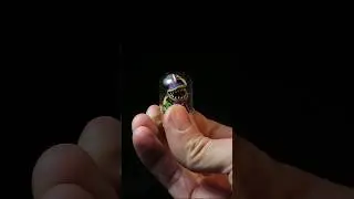 Tiny Chomper- Plants vs. Zombies 🪴🧟‍♂️ 