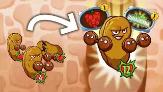 Growing BIG Hard-Hitting Health-Nuts