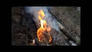 Леший обиделся (КиШ)