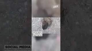 Deadly Landslide Kills Nearly 300 In Papua New Guinea Village