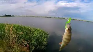 Drop shot поменял местами груз и приманку