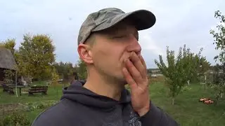 МОЙ СКРЫТЫЙ БИЗНЕС 😄  ОНИ САМЫЕ ВКУСНЫЕ🍐🍎🍏 ремонт дома