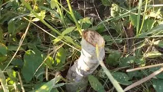 Отрицательный опыт