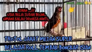 JOSS TENAN‼️TROTOL JAHAT BELAJAR NGEROL TEMBAK BONGKAR ISIAN S4DIS....