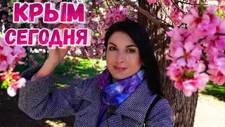 Крым 2022: Россия делает из Ялты цветник. Крымская весна. Зацвела магнолия. Новая реконструкция