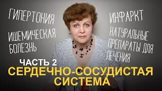 Сердечно сосудистая система. Часть 2.  Гипертония. Ишемия. Инфаркт.