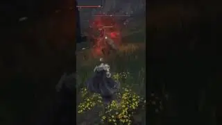 is Swarm of Flies a good Build for PVP? 🤔 