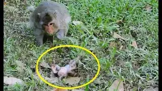Where mommy Tima...! What happen why baby Timo sit-sit fail in frond Merry.