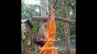 Body building Motivational Sigma Rule