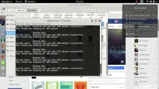 perform a ddos attack on any website(slowloris)