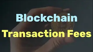 Everything About Blockchain Transaction Fees