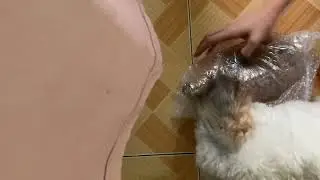 UNBOXING DOG FOOD OF MY SHIH TZU