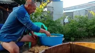 Шашлык! Какой я все таки МОЛОДЕЦ, а Вера- ЗОЛОТО!