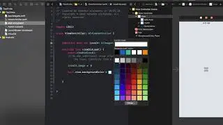 Image / Color Literal Swift iOS Development