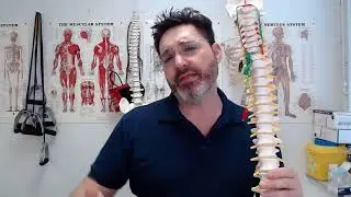 Back Pain and Standing Work
