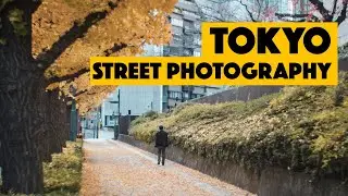 Fujifilm X-T5 + Helios 44-2 58mmf2 - Tokyo Street Photography