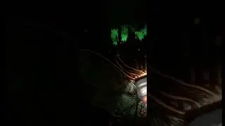 Какая красота😍