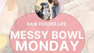 Messy Bowl Monday #dogfood #rawfeeding