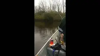 *LANGUAGE* Huge unidentified fish caught on Beaver lake, Peabody River King Mines, New Athens, IL.