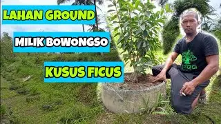 TERNYATA INI RAHASIANYA BOWONGSO ||| BINCANG SANTAI BERSAMA BOWONGSO  #BOWONGSO #BONSAI  #MOTIFASI