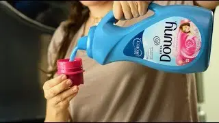 DOWNY - THE ZOO