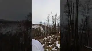 Ходовая охота
