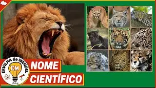 Nome científico | nomenclatura científica dos seres vivos