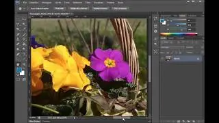 Come SCONTORNARE IMMAGINI con lo strumento LAZO di Adobe Photoshop